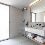 White Shell 珀彻斯