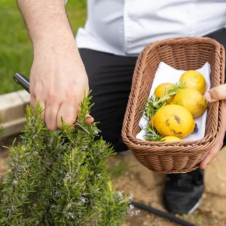 Θέρετρο White Shell 4*