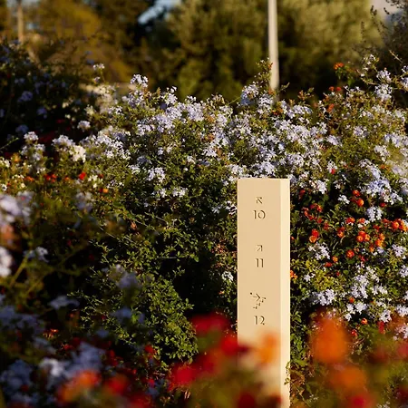 White Shell 度假村 珀彻斯